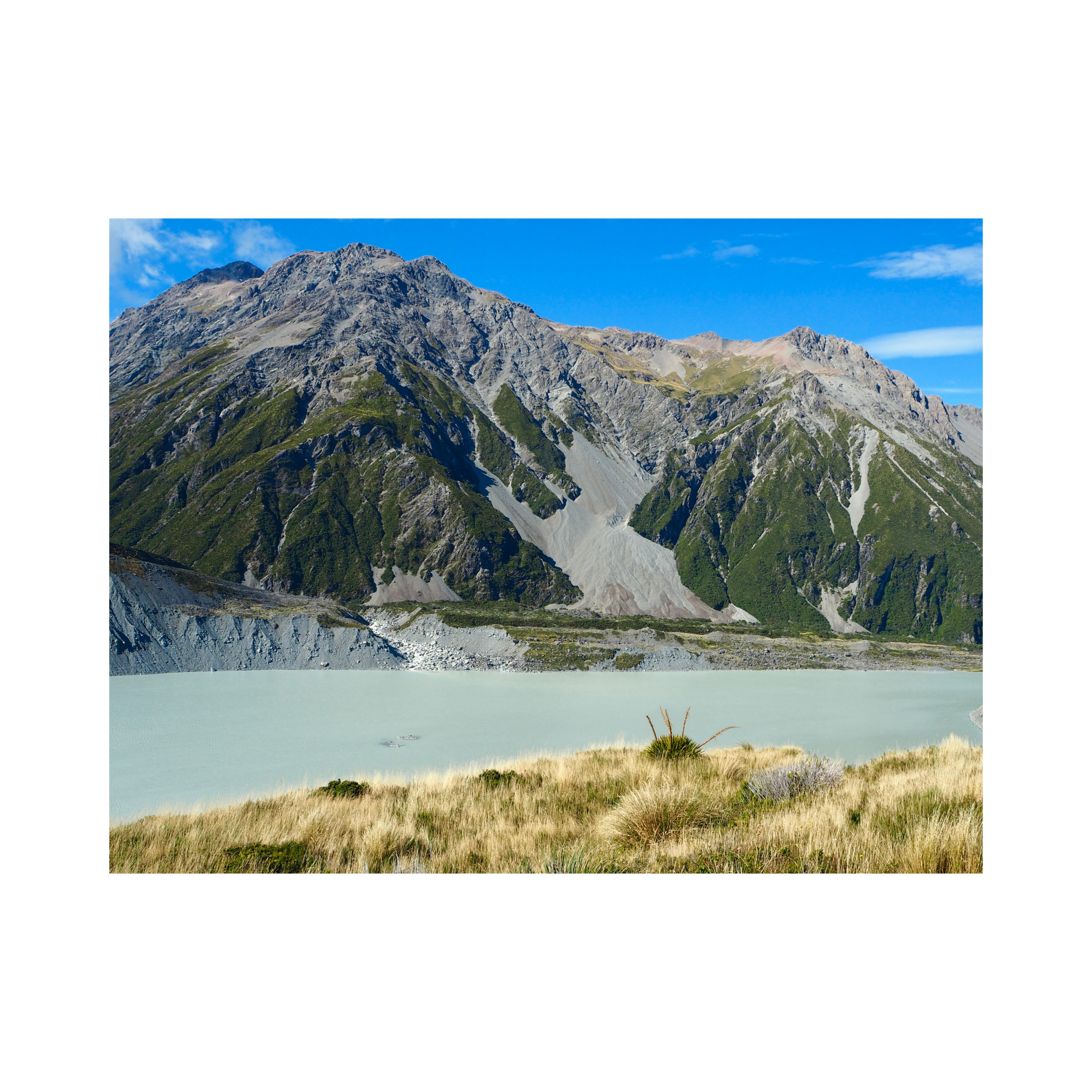 EEVEE NEW ZEALAND